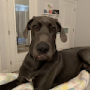 Meet your Posher, Kylie